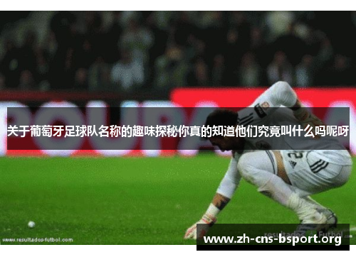 关于葡萄牙足球队名称的趣味探秘你真的知道他们究竟叫什么吗呢呀 关于葡萄牙足球队名称的趣味探秘你真的知道他们究竟叫什么吗呢呀